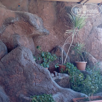 фото из отзыва ID 2332634