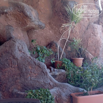 фото из отзыва ID 2332634