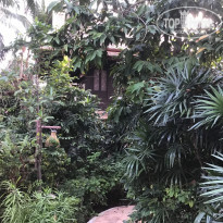 фото из отзыва ID 2332724