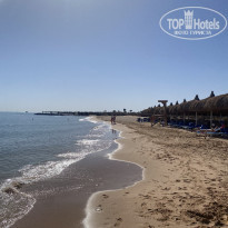 фото из отзыва ID 2332059