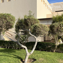 фото из отзыва ID 2332750