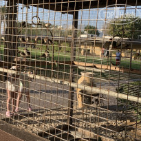 фото из отзыва ID 2332772