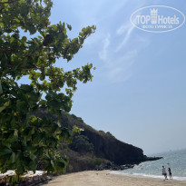 фото из отзыва ID 2332900