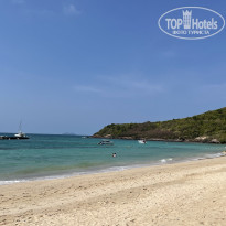 фото из отзыва ID 2332900