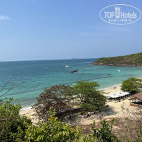 фото из отзыва ID 2332900