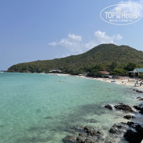 фото из отзыва ID 2332900