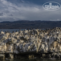 фото из отзыва ID 2332891