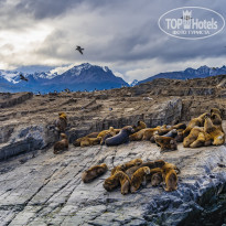 фото из отзыва ID 2332891