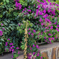 фото из отзыва ID 2332998