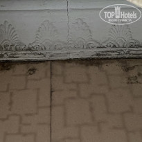 фото из отзыва ID 2333002
