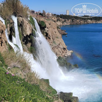 фото из отзыва ID 2333022