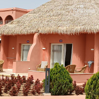 фото из отзыва ID 2333025