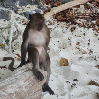 фото из отзыва ID 2332609