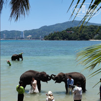 фото из отзыва ID 2332609