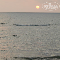 фото из отзыва ID 2333059