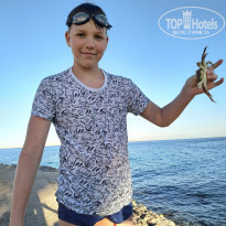 фото из отзыва ID 2333170