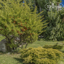 фото из отзыва ID 2333205