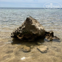 фото из отзыва ID 2333271
