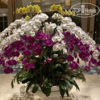фото из отзыва ID 2333367