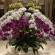 фото из отзыва ID 2333367