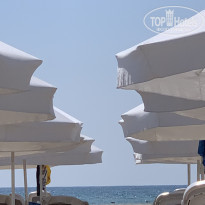 фото из отзыва ID 2333417