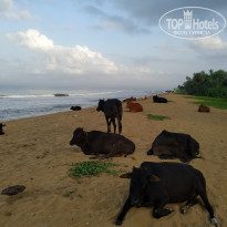 фото из отзыва ID 2333515