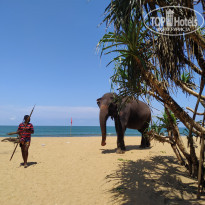 фото из отзыва ID 2333515