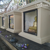 фото из отзыва ID 2333515