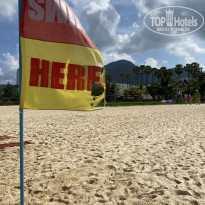 фото из отзыва ID 2333580