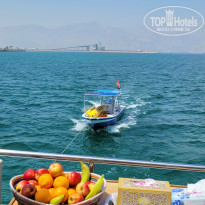 фото из отзыва ID 2333680