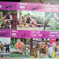 фото из отзыва ID 2333763