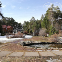 фото из отзыва ID 2333776