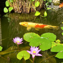 фото из отзыва ID 2333867