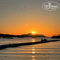 фото из отзыва ID 2333882