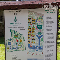 фото из отзыва ID 2333909