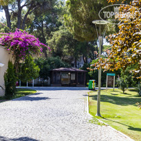 фото из отзыва ID 2333909