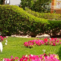 фото из отзыва ID 2334110