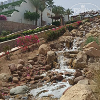 фото из отзыва ID 2334110