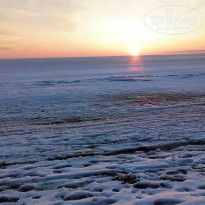 фото из отзыва ID 2334200