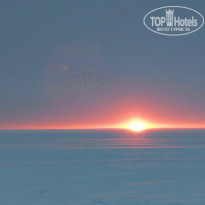 фото из отзыва ID 2334200