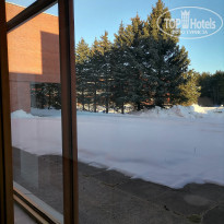 фото из отзыва ID 2334200