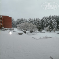 фото из отзыва ID 2334200