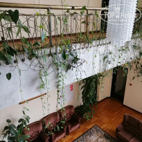 фото из отзыва ID 2334200