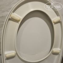 фото из отзыва ID 2334221