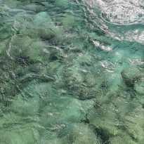 фото из отзыва ID 2334271