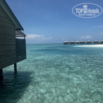 фото из отзыва ID 2334287