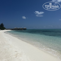 фото из отзыва ID 2334287