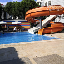 фото из отзыва ID 2334304