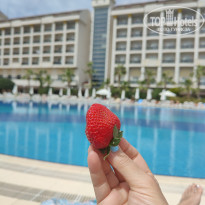 фото из отзыва ID 2334448