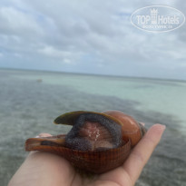 фото из отзыва ID 2334511